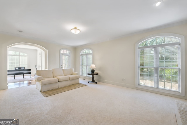 living room featuring plenty of natural light, light colored carpet, and ornamental molding