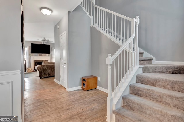 staircase with ceiling fan and wood-type flooring