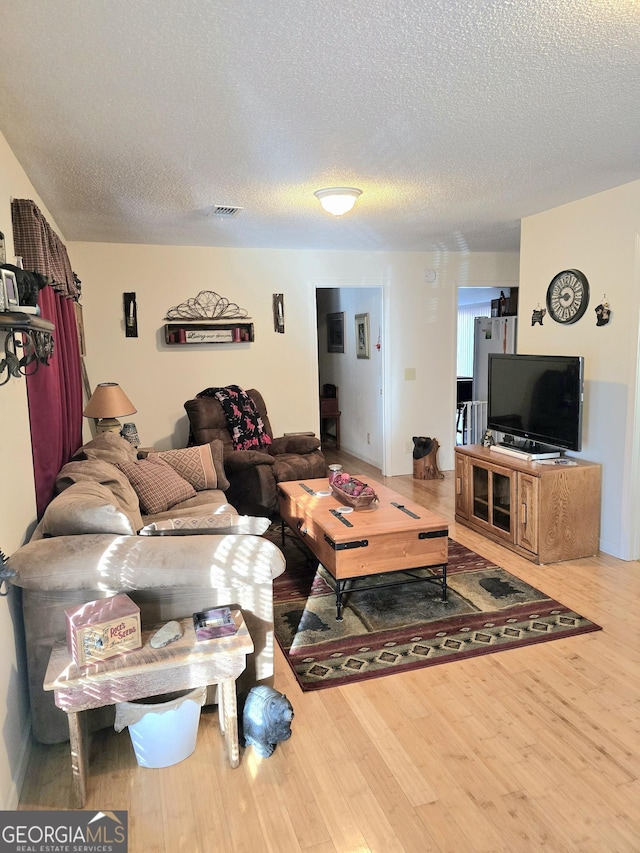 living room featuring a textured ceiling and hardwood / wood-style flooring