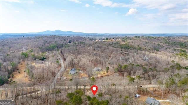 birds eye view of property featuring a mountain view