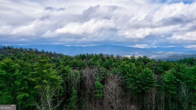 property view of mountains featuring a forest view