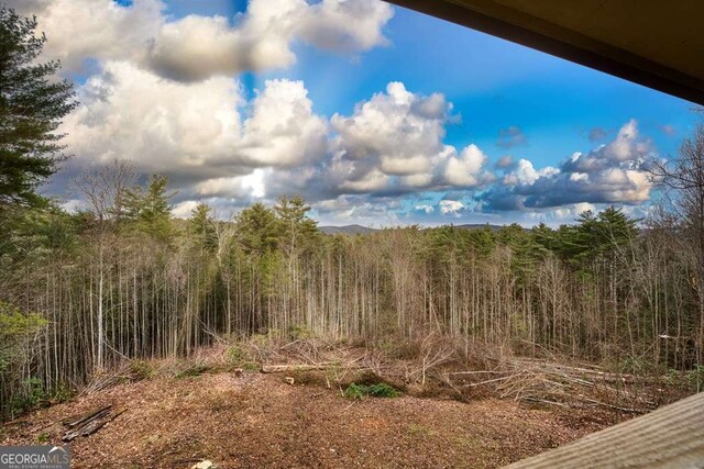 view of local wilderness featuring a mountain view