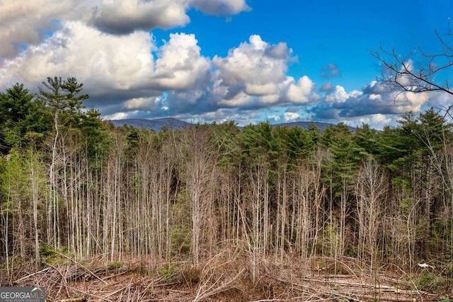 view of landscape with a mountain view and a wooded view