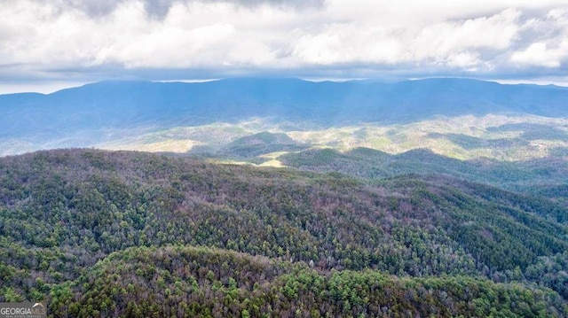 view of mountain feature with a view of trees