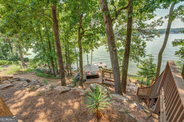 view of yard with a water view and a dock