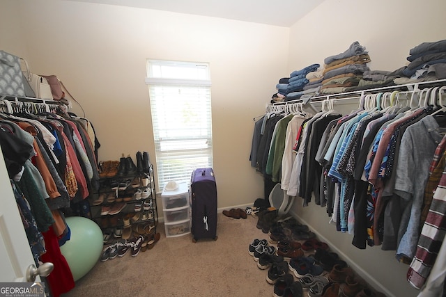 walk in closet with carpet floors