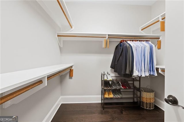 walk in closet featuring dark hardwood / wood-style floors