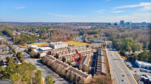 bird's eye view