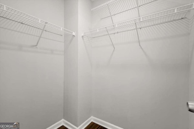 walk in closet featuring hardwood / wood-style flooring