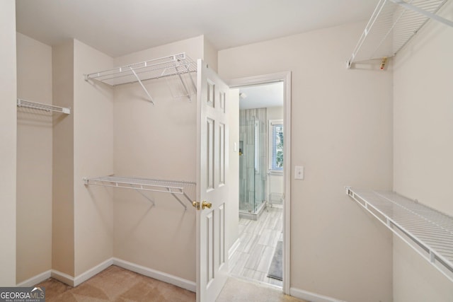 walk in closet featuring carpet flooring