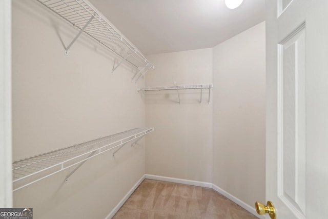 spacious closet with light colored carpet