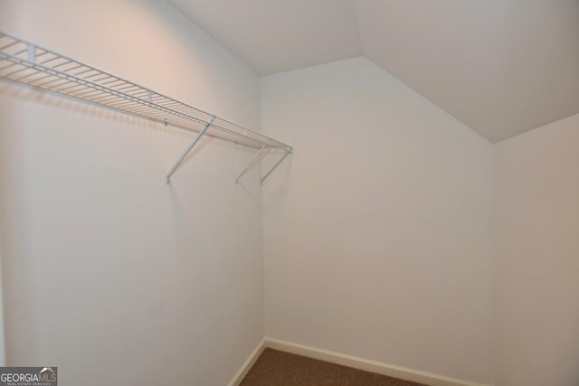 walk in closet with dark colored carpet