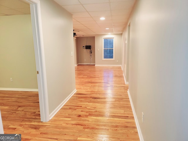 corridor with a drop ceiling and light hardwood / wood-style floors