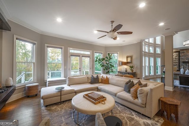 living room featuring ornamental molding, dark hardwood / wood-style floors, and a healthy amount of sunlight