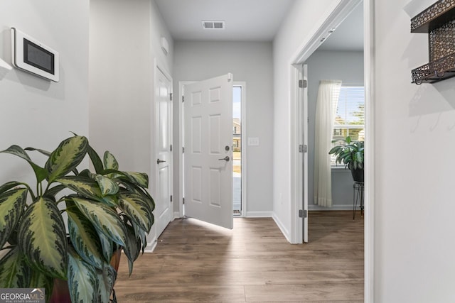 foyer featuring dark hardwood / wood-style floors