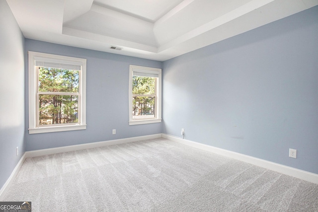 unfurnished room with carpet, a healthy amount of sunlight, and a raised ceiling