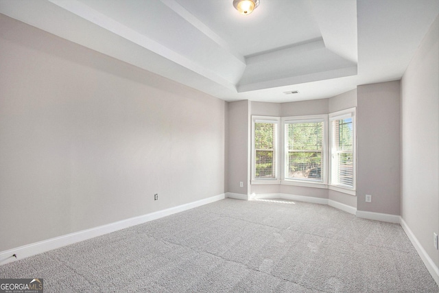 spare room with a tray ceiling and light colored carpet