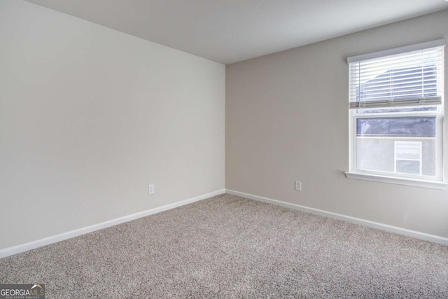 spare room with carpet floors