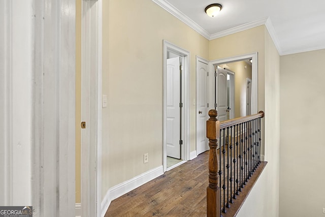 corridor featuring crown molding and dark wood-type flooring