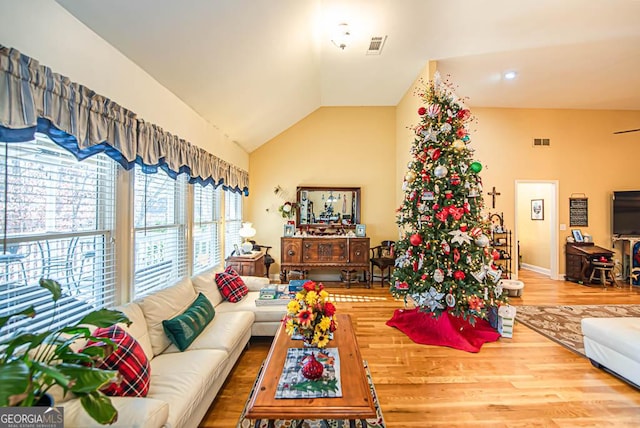 living room with hardwood / wood-style floors and lofted ceiling