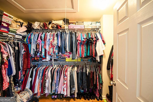 view of spacious closet