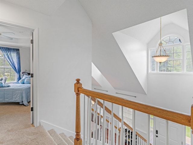 corridor featuring a wealth of natural light, light colored carpet, and lofted ceiling