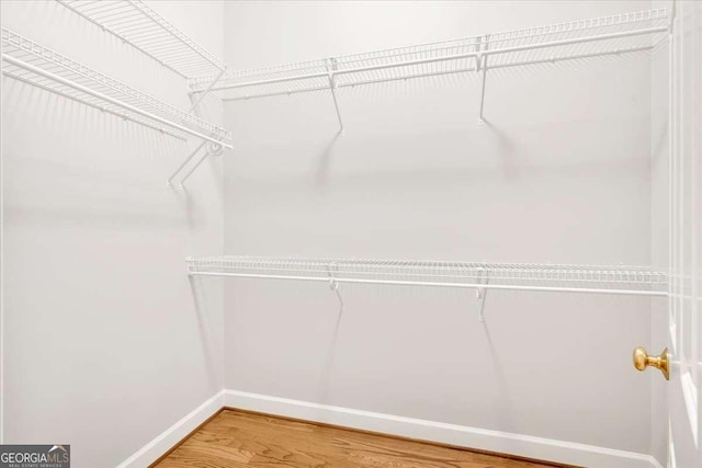 walk in closet with hardwood / wood-style flooring