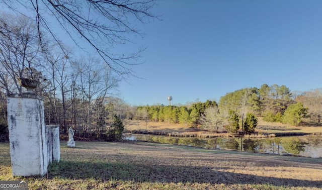 Listing photo 3 for 0 Dixie Hwy, Rutledge GA 30663