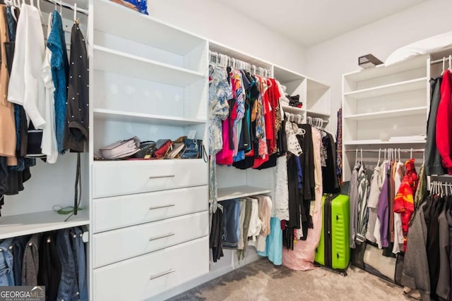 walk in closet with carpet