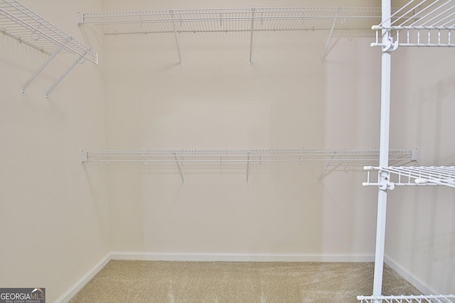 walk in closet featuring carpet flooring