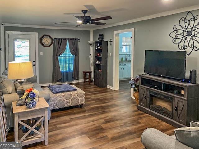 living room with ceiling fan, ornamental molding, sink, and hardwood / wood-style floors