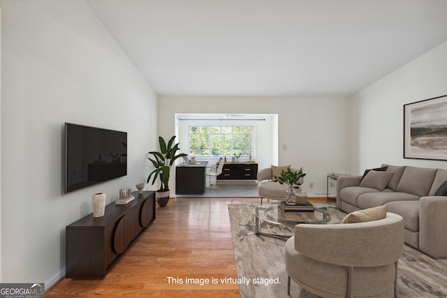 living room featuring light hardwood / wood-style flooring