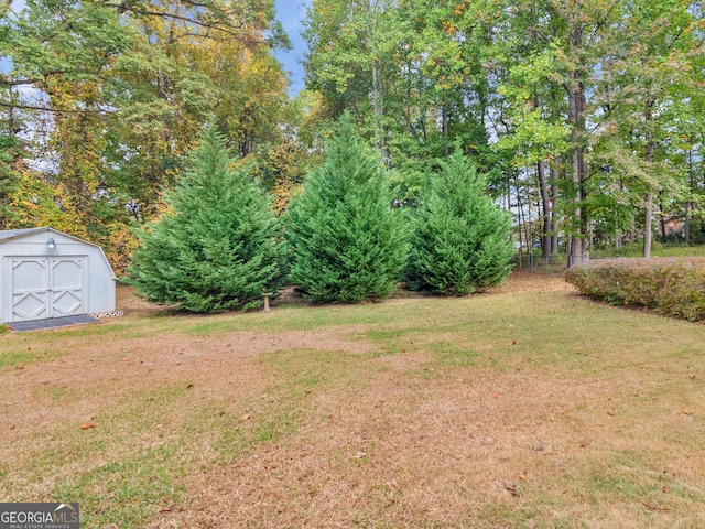 view of yard featuring a storage unit