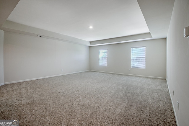 spare room with light carpet and a raised ceiling