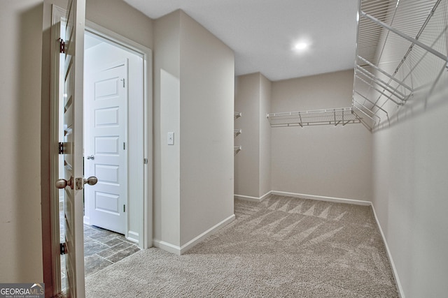 walk in closet with carpet floors