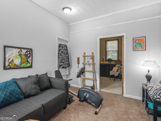 living room with carpet and baseboards