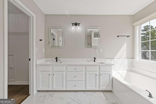 bathroom featuring vanity and a washtub