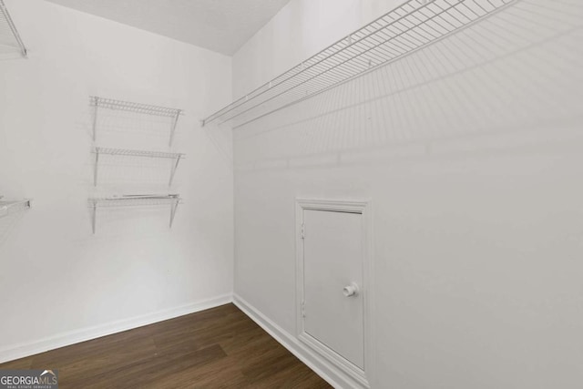 walk in closet featuring dark hardwood / wood-style floors