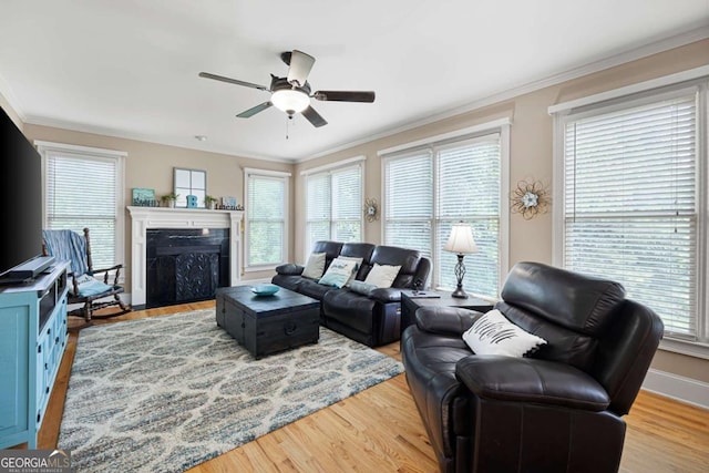 living room with hardwood / wood-style flooring, a wealth of natural light, ornamental molding, and ceiling fan