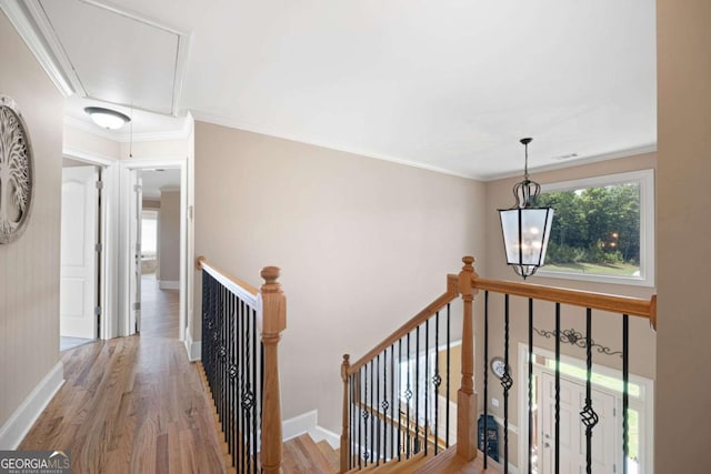 corridor featuring crown molding and hardwood / wood-style flooring