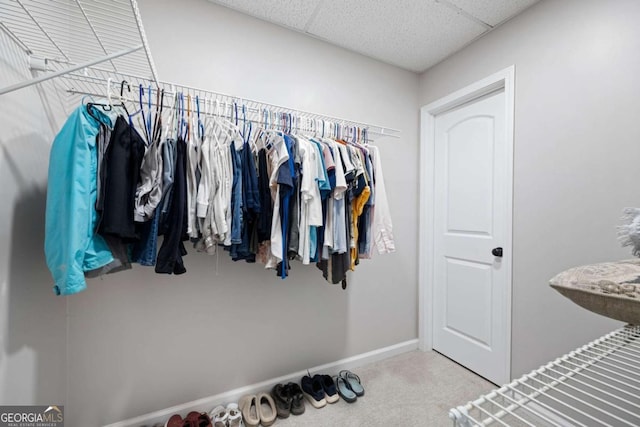 spacious closet with a drop ceiling