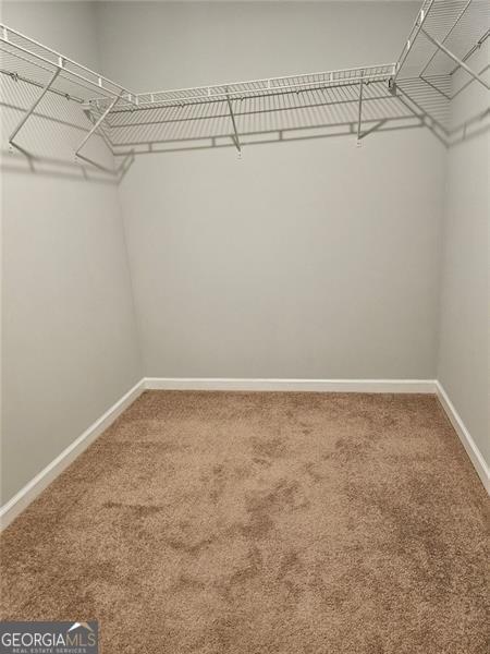 spacious closet with carpet floors