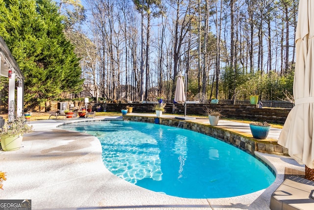 view of pool featuring a patio area