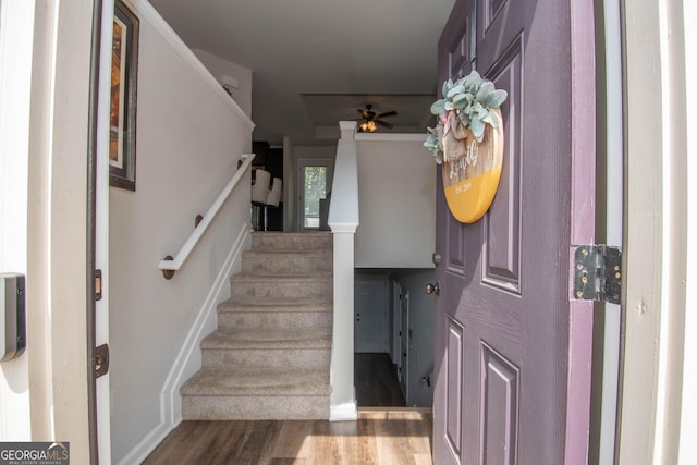 entryway with ceiling fan and wood-type flooring