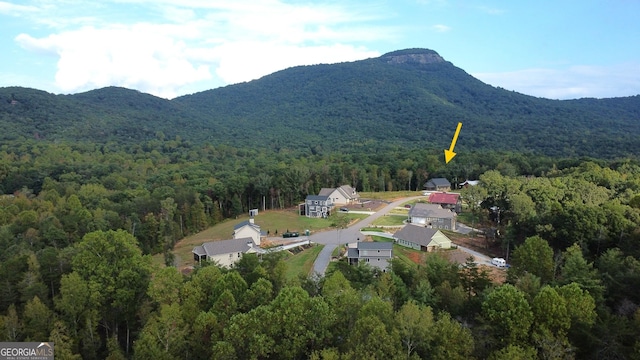 aerial view with a mountain view