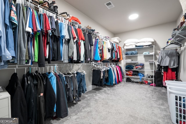 spacious closet featuring carpet