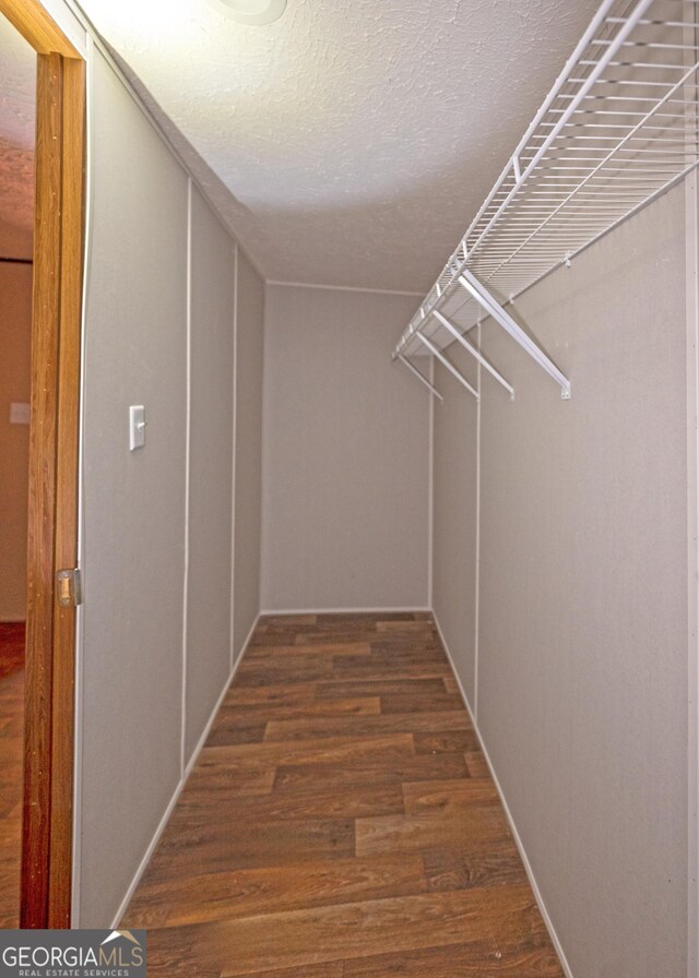 spacious closet with dark wood-type flooring