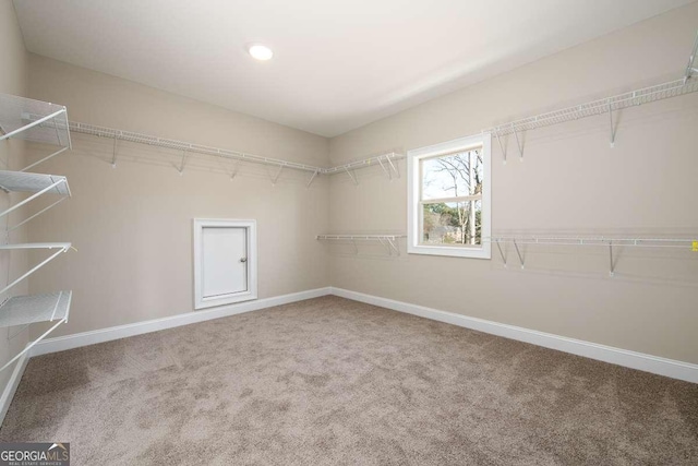 spacious closet featuring carpet