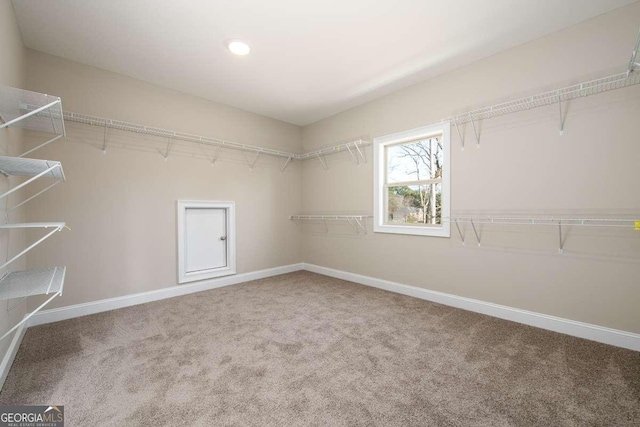 spacious closet with carpet