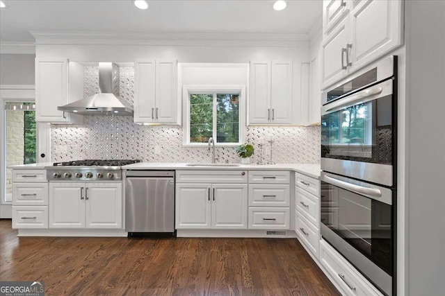 kitchen featuring wall chimney range hood, sink, tasteful backsplash, white cabinetry, and stainless steel appliances